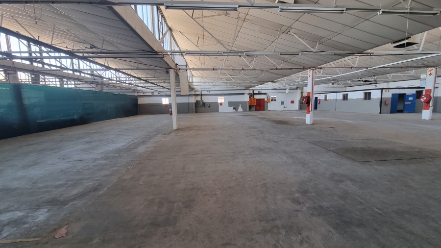 To Let commercial Property for Rent in Parow Industrial Western Cape